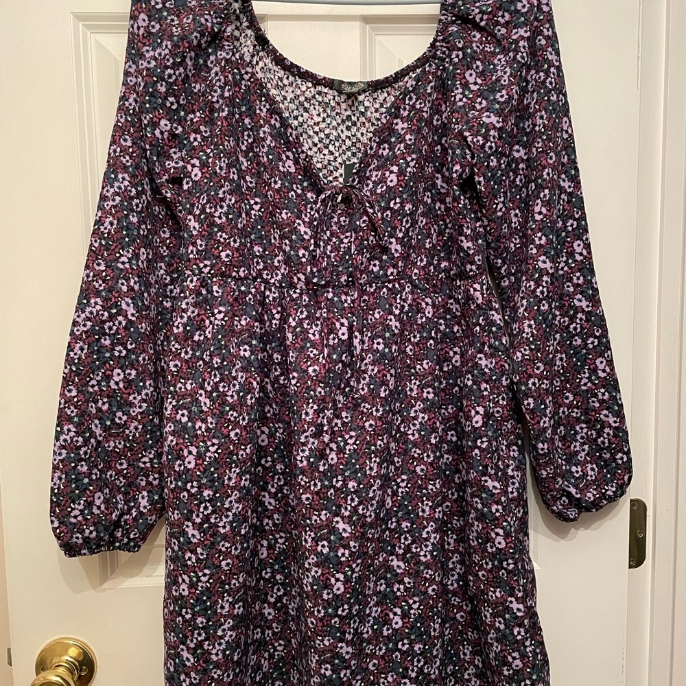 Women’s long sleeve peasant mini dress